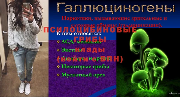 винт Аркадак
