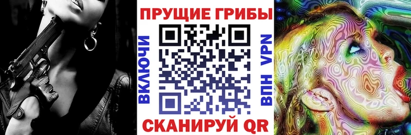Псилоцибиновые грибы MAGIC MUSHROOMS omg как войти Трёхгорный